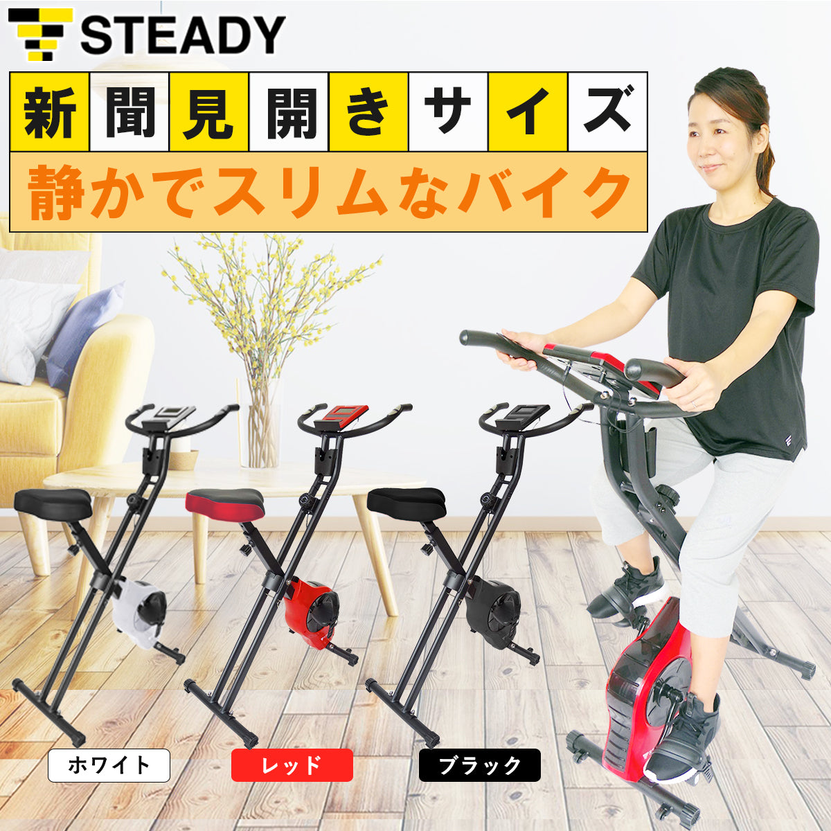 STEADY　ステディ　エアロバイク　ST-102　①