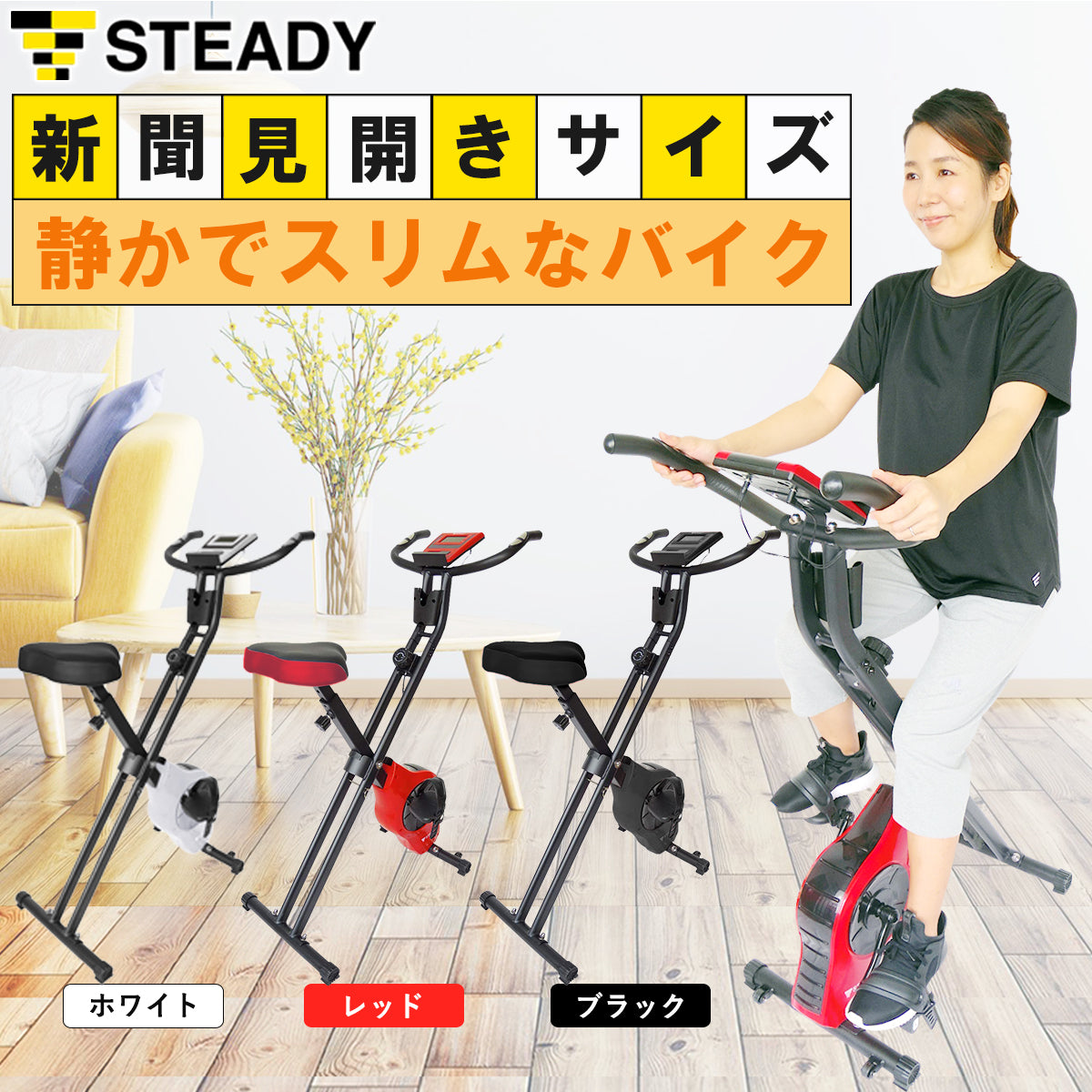 STEDY マグネティックエアロバイク スピンバイク コンパクト エクササイズ